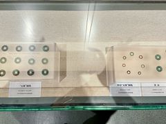 -巴音郭楞蒙古自治州博物馆