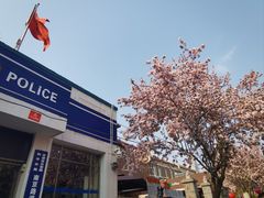 -天津五大道文化旅游区