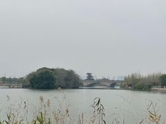 -三垟湿地