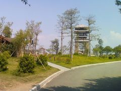 -大湾区中央湿地公园