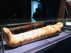 -浙江西湖美术馆