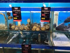 水产区-船梆煮•蒸汽海鲜·生腌干蒸(五四广场店)