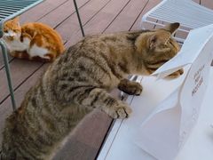 -UNI UNI(环亚凯瑟琳店)