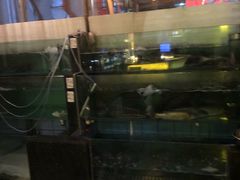 -川外川(星海店)