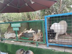 -可可天空农场(中大店)