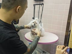 -FAELING PETS美天灵宠物(富力广场店)