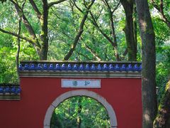-灵谷景区