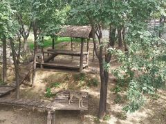 -石家庄市动物园