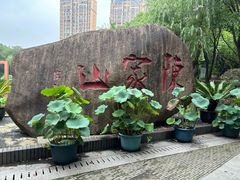 -陈家山荷花公园