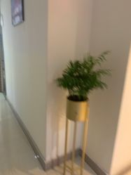 -云南吴氏嘉美医疗美容医院