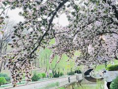 -海棠花溪(元大都城垣遗址公园)