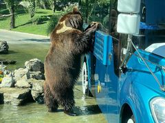 -北京野生动物园