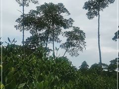 -东寨港红树林旅游区