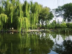 -玲珑塔公园