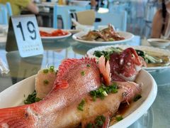 -七鲜渔港美食餐厅(巽寮湾海景店)