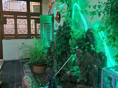 -丽江庭院之爱在路上(西单店)