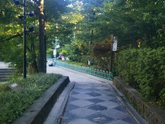 -庐山风景区花径公园