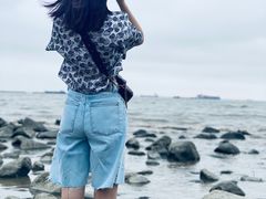 -吴淞炮台湾湿地森林公园烧烤区