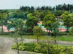 -宝安西湾红树林湿地公园