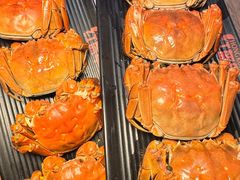 -红盔甲·小龙虾(定西路店)