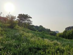 -浮山香苑