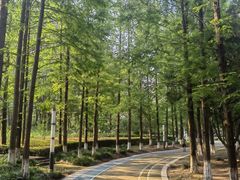 -苏州河梦清园环保主题公园