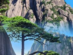 -黄山风景区