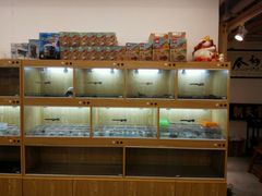 -灵龟之家百象馆(百象馆联合旗舰店)