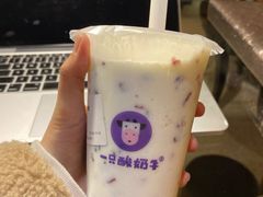 -一只酸奶牛(奎星楼店)