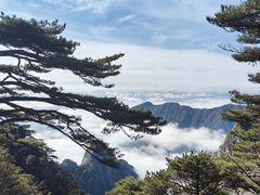 -黄山风景区