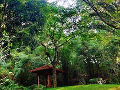 -深圳国际园林花卉博览园