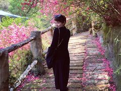 -木兰云雾山