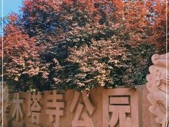 -木塔寺遗址生态公园