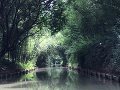 -同里国家湿地公园