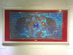 -上海昆虫博物馆