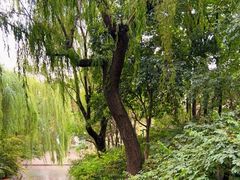 -趵突泉景区