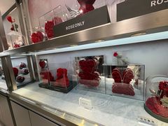 -ROSEONLY诺誓(广州K11店)