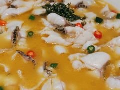 -青花椒花椒鱼(合生汇店)