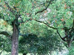 -台州府城(东湖)