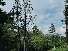 -四海公园(南山区)