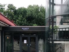 -榴莲咖啡馆