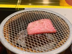 -元熹会席料理