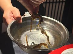 -鳥喜Toriki怀石烧鸟料理