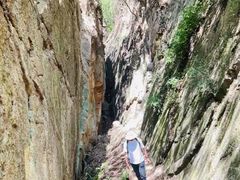 -镇江市南山风景名胜区竹林景区