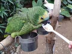 -南宫温泉水世界