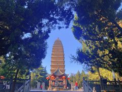 -洛阳白马寺