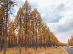 -塞罕坝国家级自然保护区