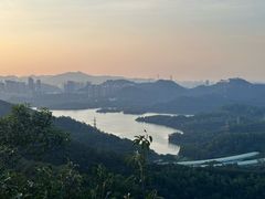 -深圳仙湖植物园
