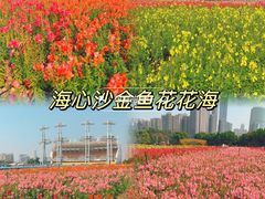 -海心沙亚运公园