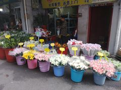 -循礼门鲜花花市(武汉循礼门店)